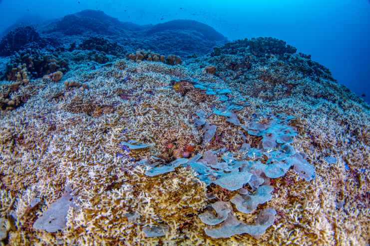 17_-_NGSPS2024SOL_MSF_2618Nat_Geographic_1